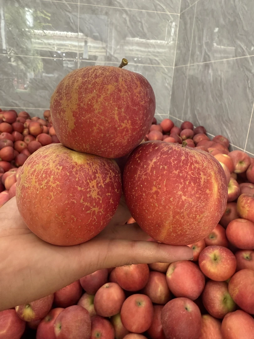 云南昭通2001丑苹果红富士脆甜净重5斤包邮