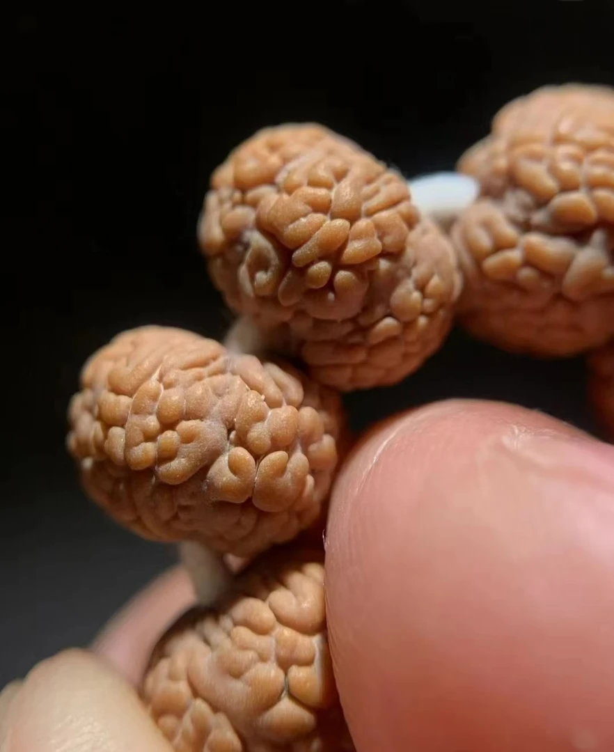 四.五瓣毒药龙鳞小金刚