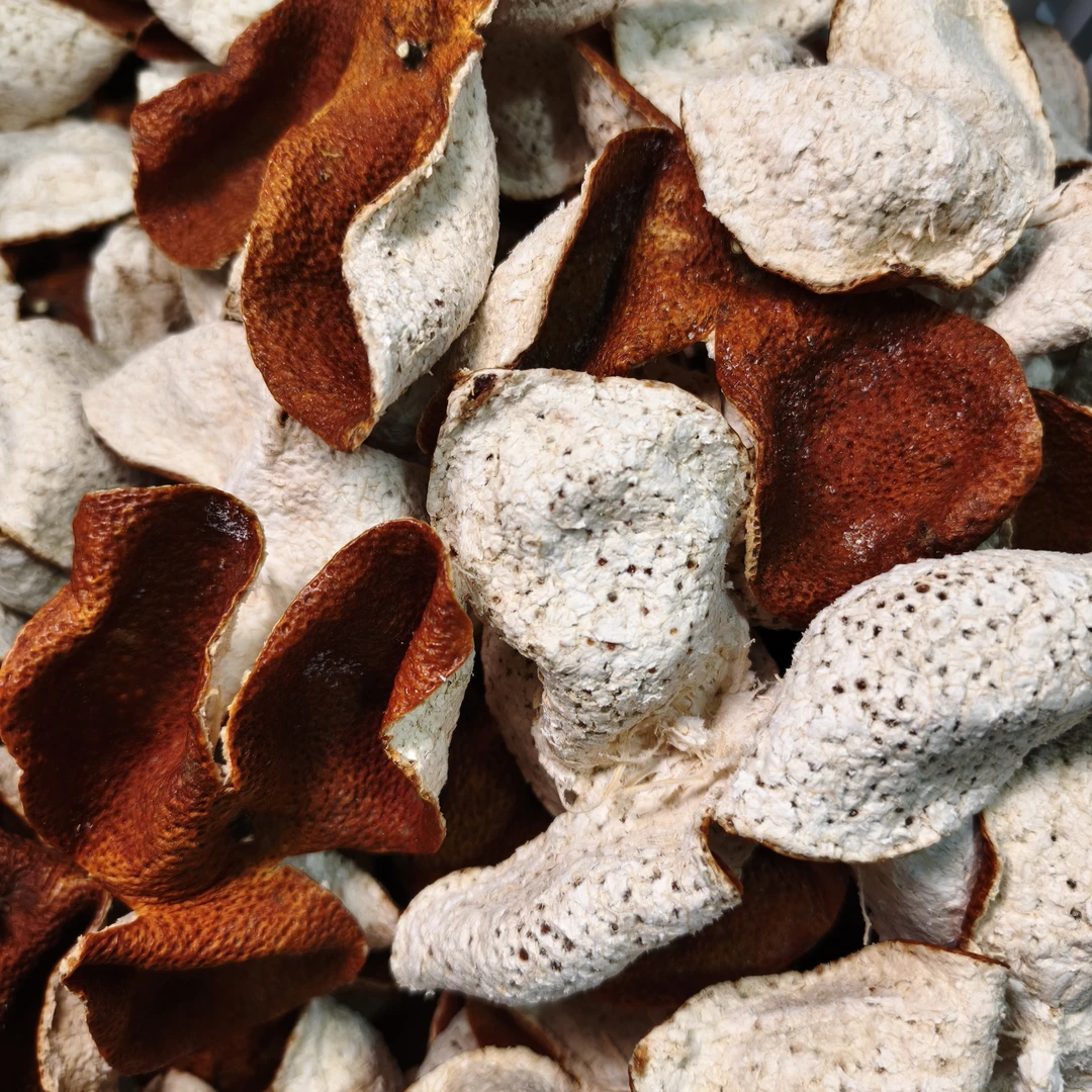 2024年大红皮老树茶枝柑（精挑大果皮）