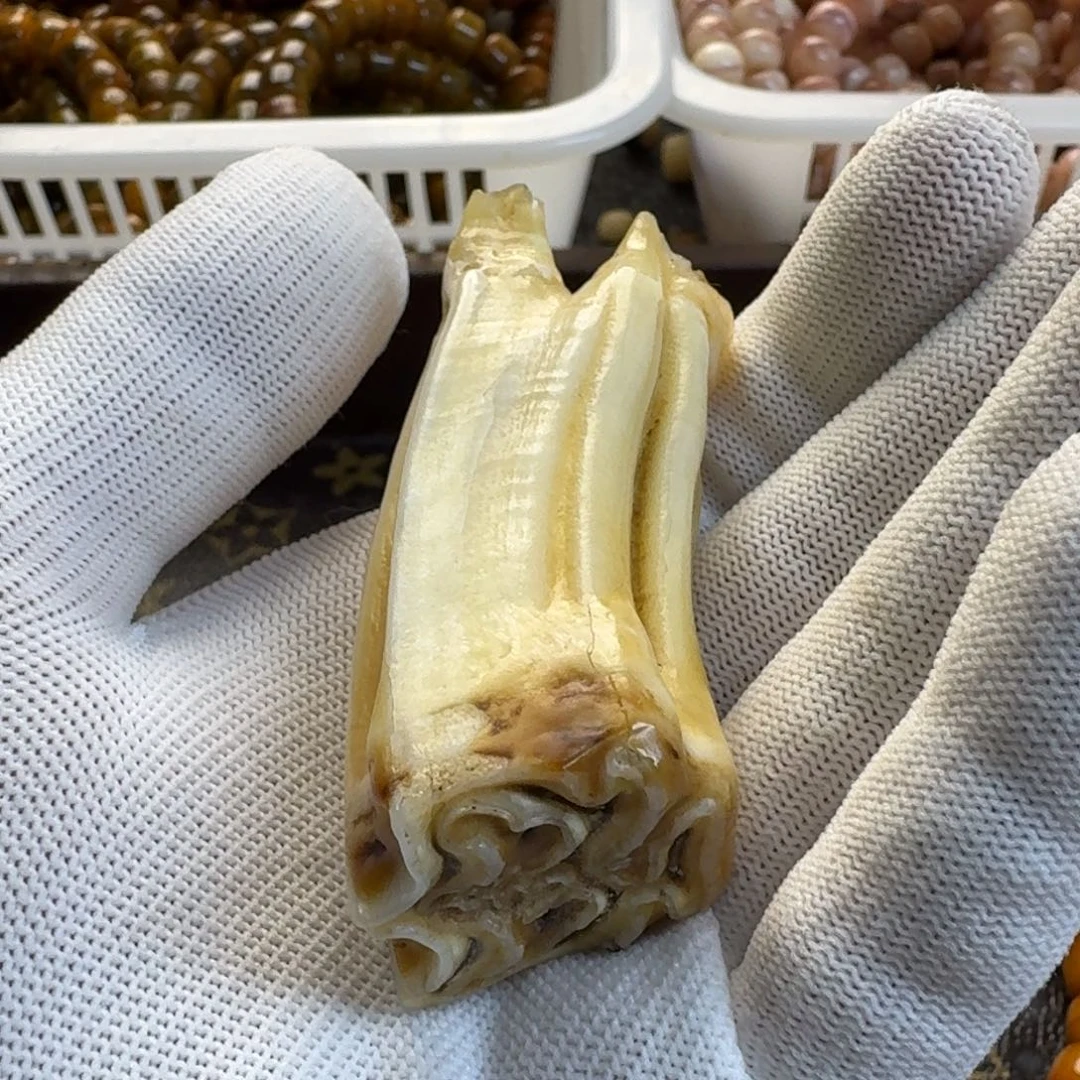 骆驼牙手串/手链手串