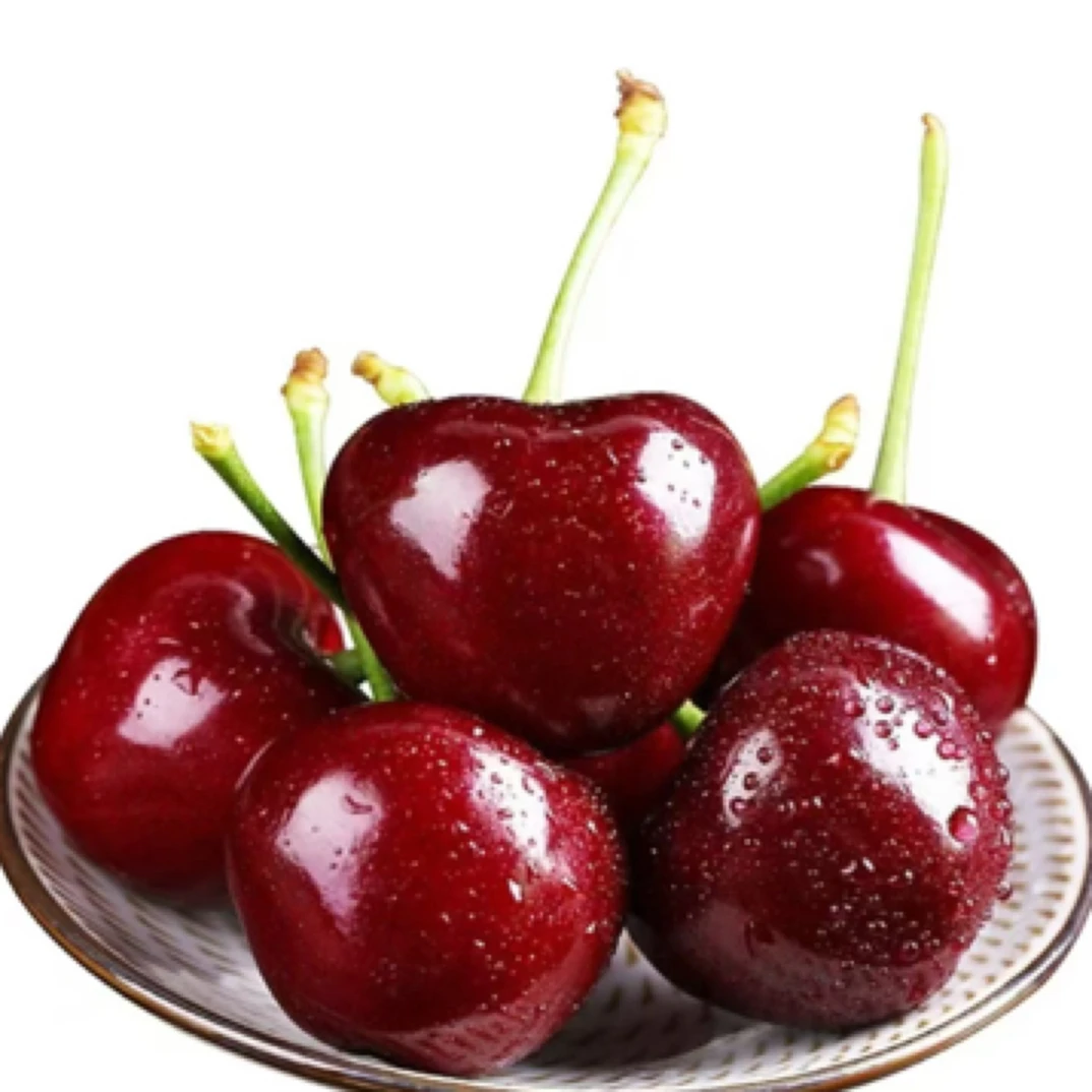 智利车厘子海运思塔卡托2J净重5/10斤一箱现货 内附果径卡