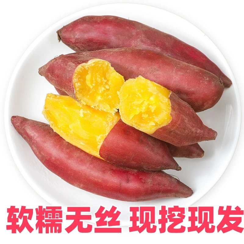 【新人福利】天目小香薯红皮黄心软糯香甜板栗味自种现挖海南番薯