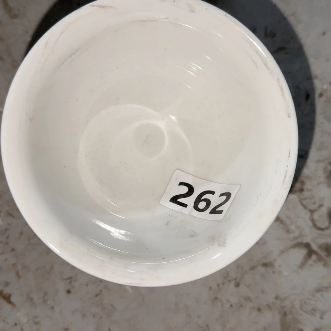 天***蓝茶盏他不喜欢他我不会管他们你不要