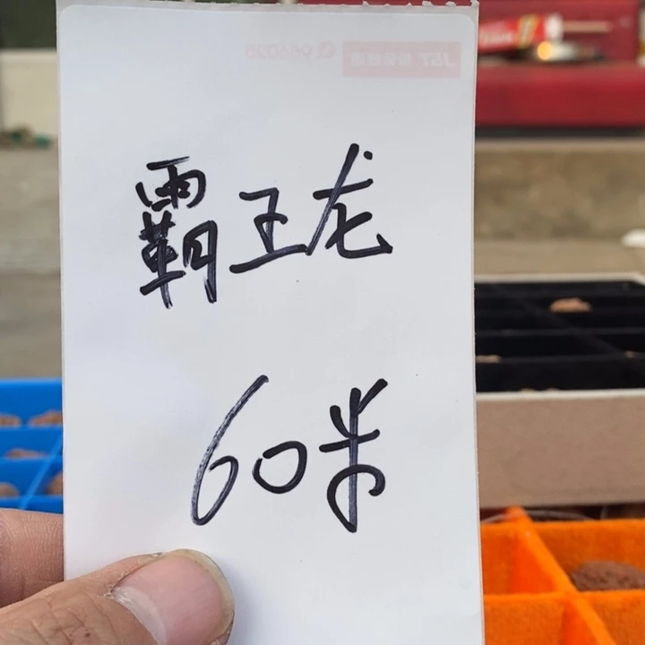 吊坠文玩核桃福利