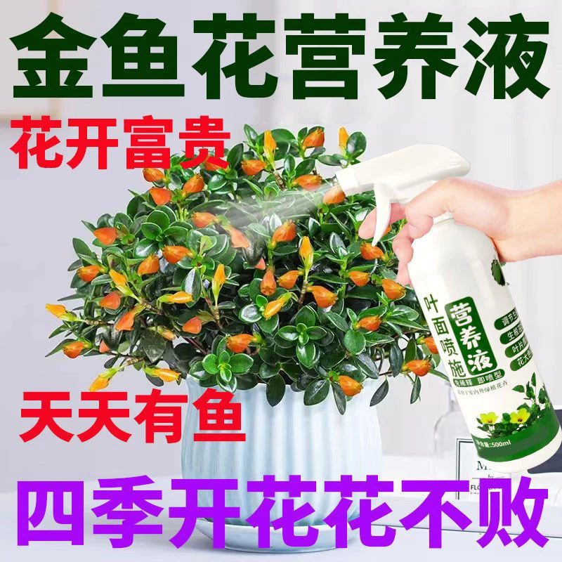 金鱼花营养液催花促花长新芽防褐斑免稀释直喷养花肥