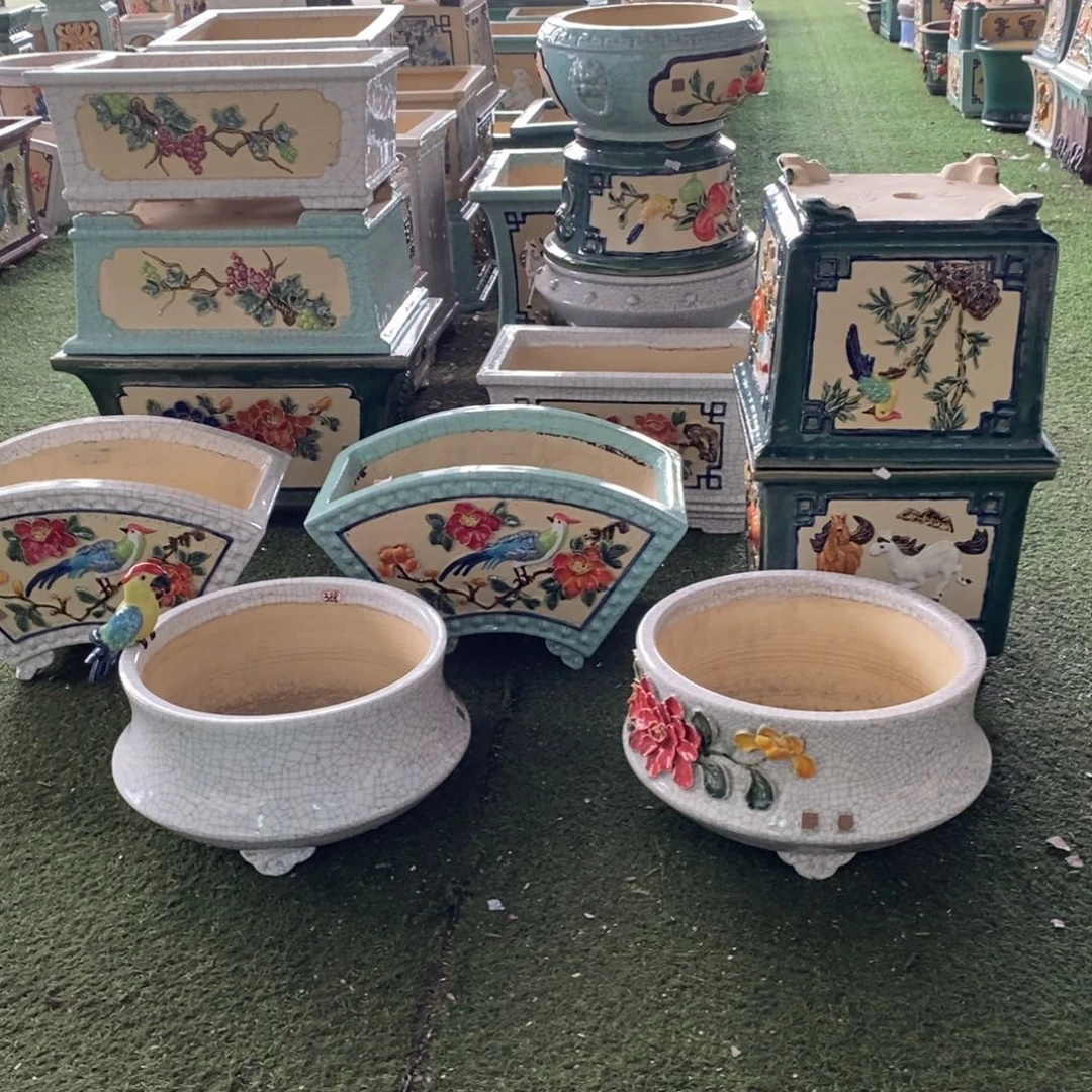 陶喜****菜3，6个盆。