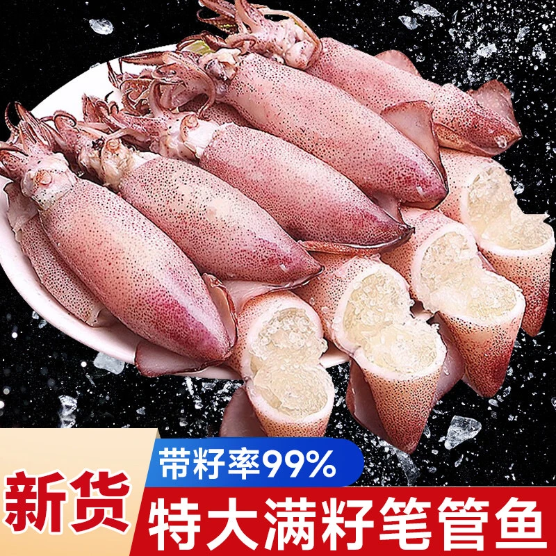 新鲜带籽满籽籽乌海兔子小笔管鱼全籽鱿鱼仔墨鱼乌贼冷冻批发