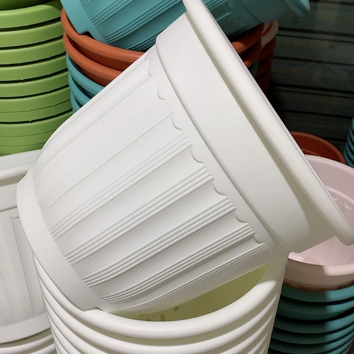 罗马口28白4个无托