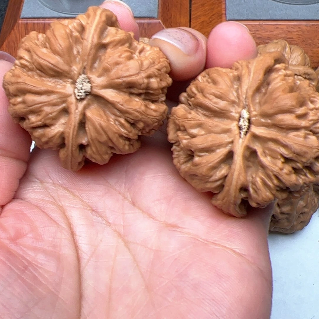 文玩核桃把件脑****?粗筋42红