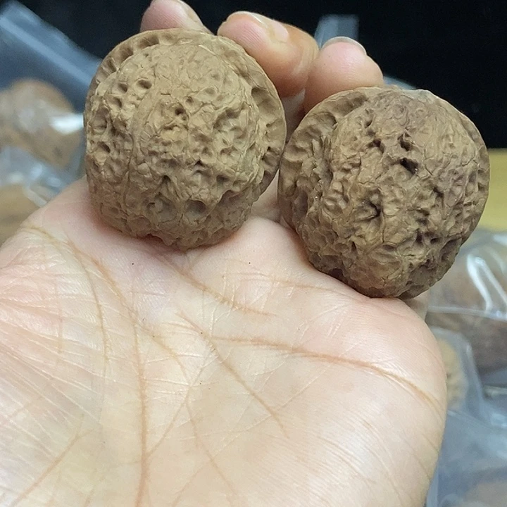 木质类云南铁核桃基地96