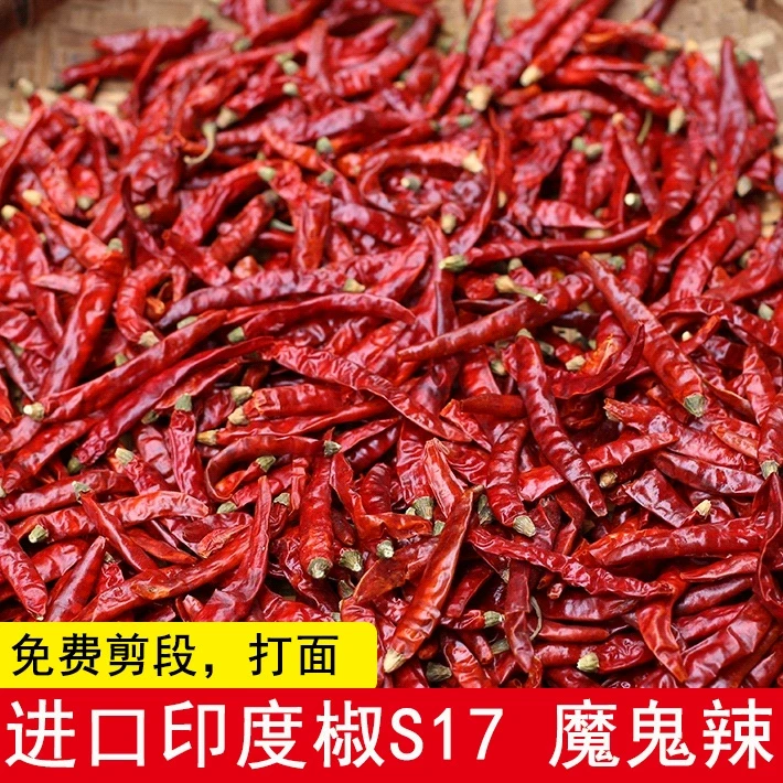 正宗印度椒魔鬼辣S17超辣特辣干辣椒火锅提辣烧烤蘸料香辣干辣椒