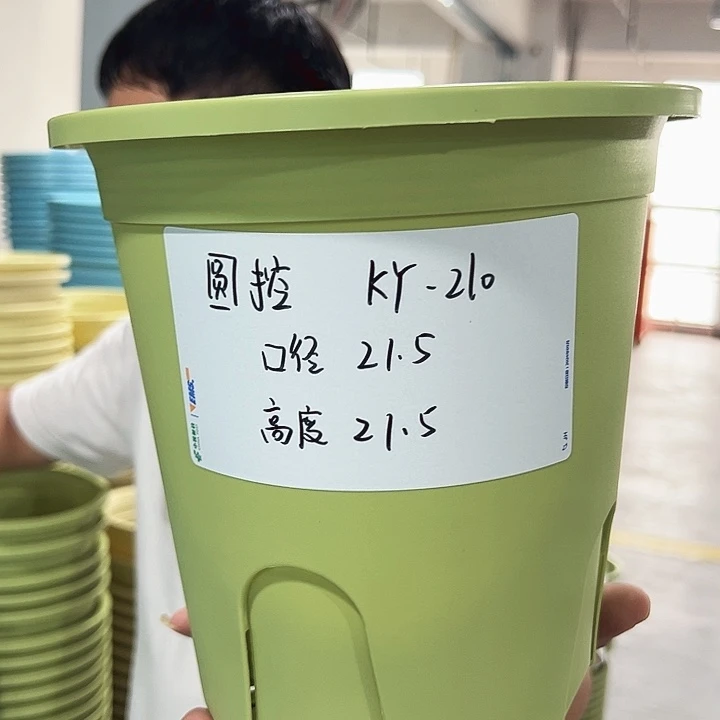 特价圆控口21高21果绿无托5只