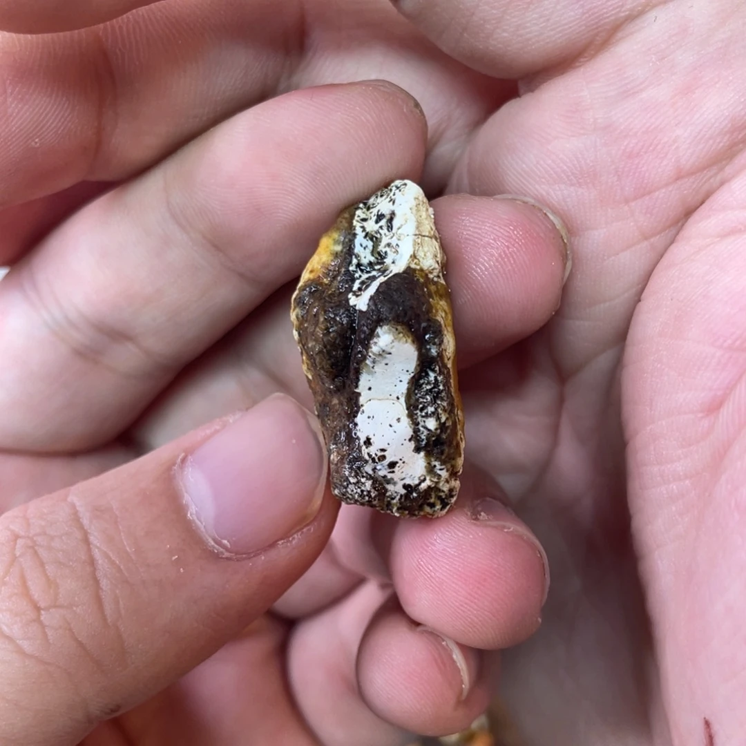 定制琥珀天然琥珀8老型一对