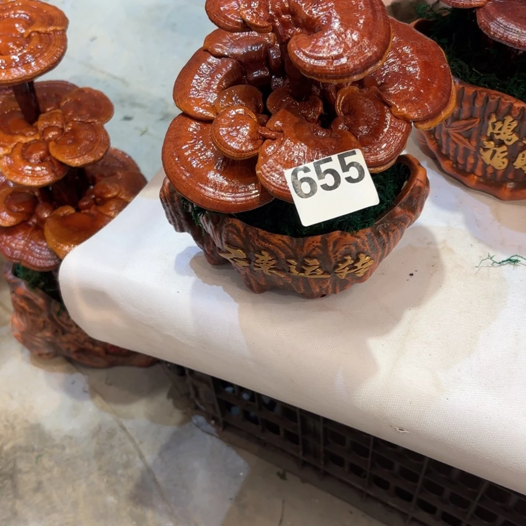 永***心无花朵灵芝8888888888888