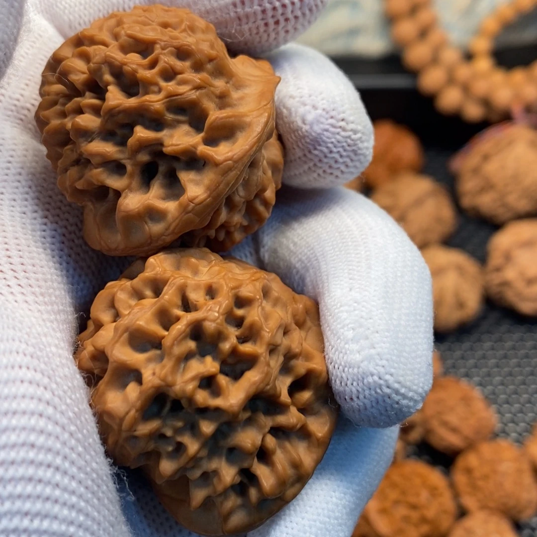 核桃手串/手链秦岭森林茂密和植被稀疏地