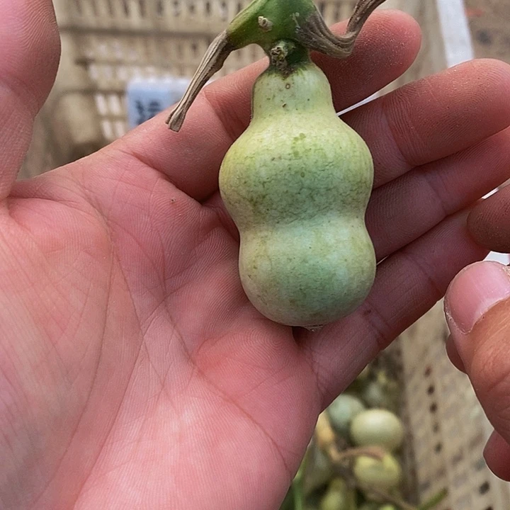 用****9哈哈哈哈哈哈哈哈哈