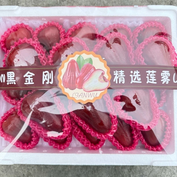 莲雾 中果 清甜可口 汁水充盈 中通包邮 现货现发