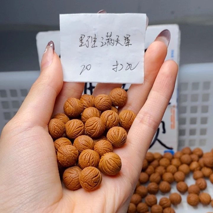 手串桃核11mm左右野生满天星20颗（打孔）