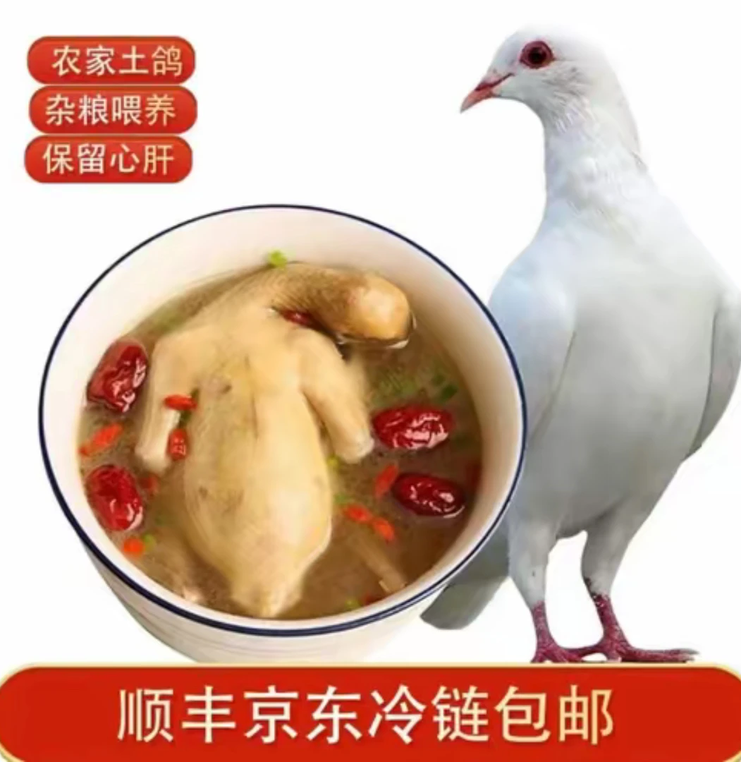 【拍三送二】散养新鲜宰杀鸽子肉土鸽子5两以上/只带内脏心肝