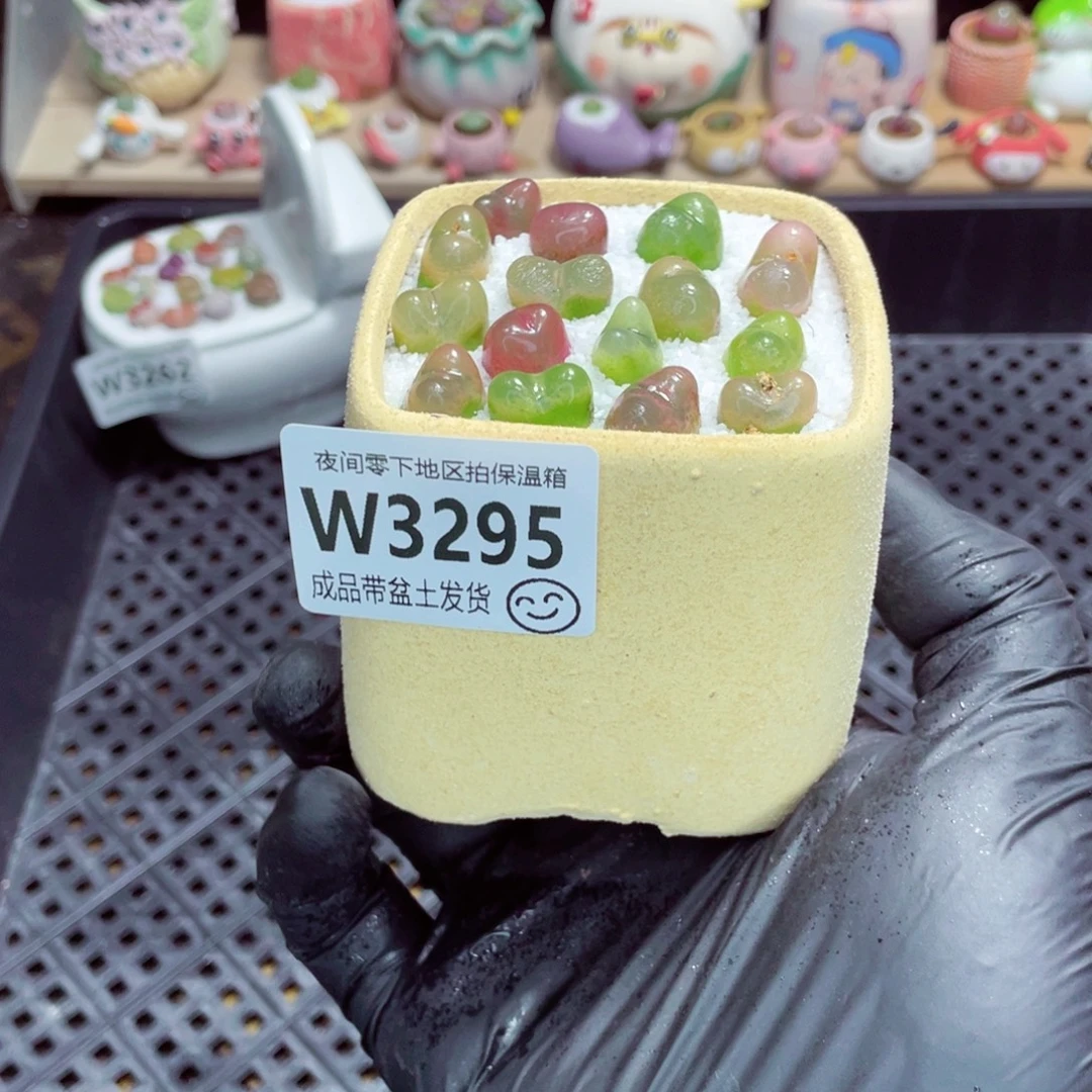 夜间零下地区拍保温箱w3295