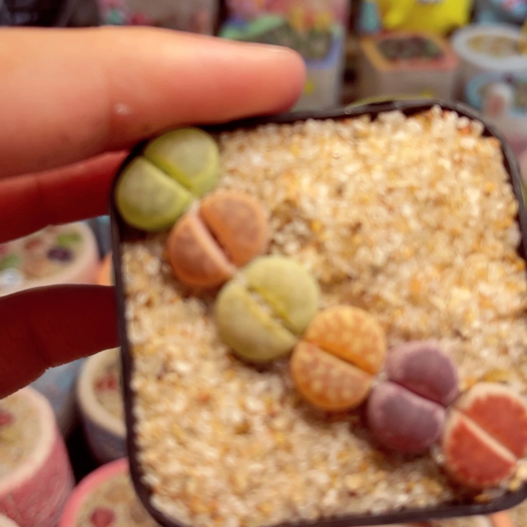 166. 888888899999999