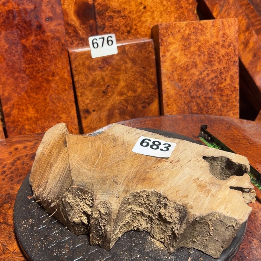 看***播大果紫檀（缅甸花梨）