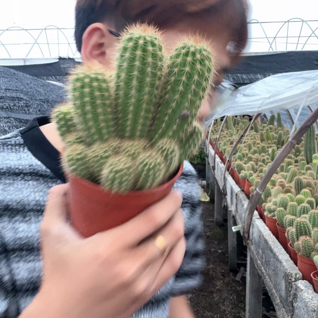 冰***火无花朵牛牛哈哈哈哈哈哈哈
