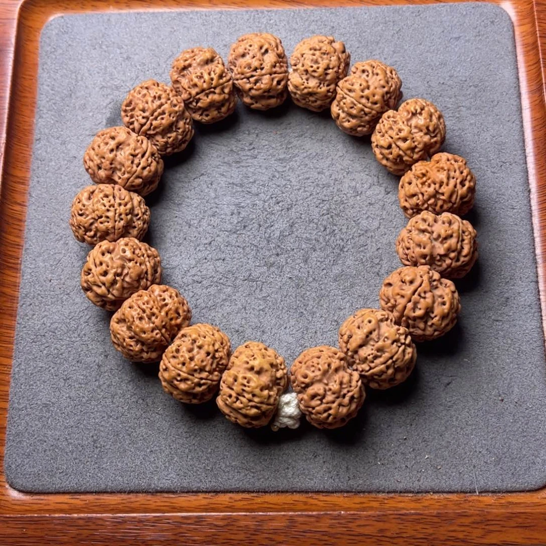 菩提5号金刚菩提梅花蜂窝豆腐块23