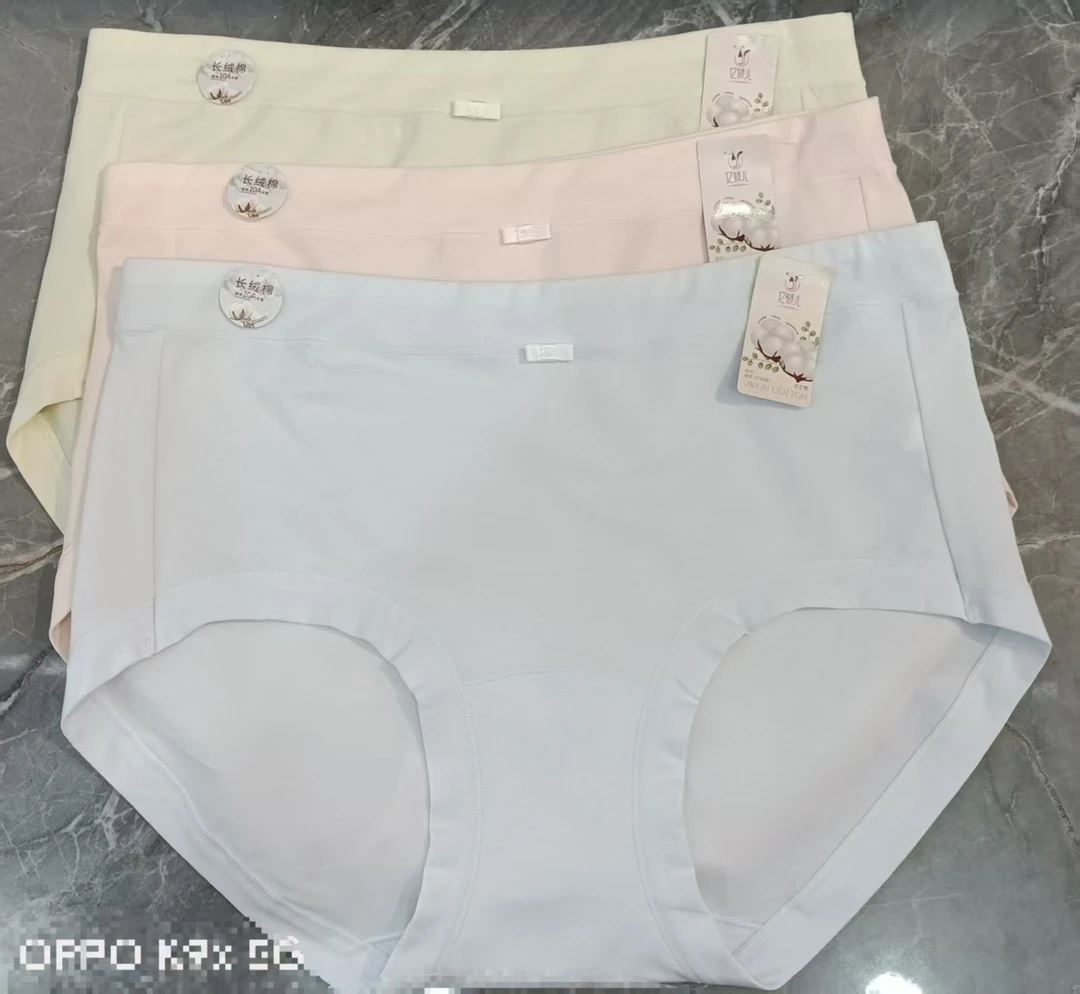 3008/504女士新款内裤