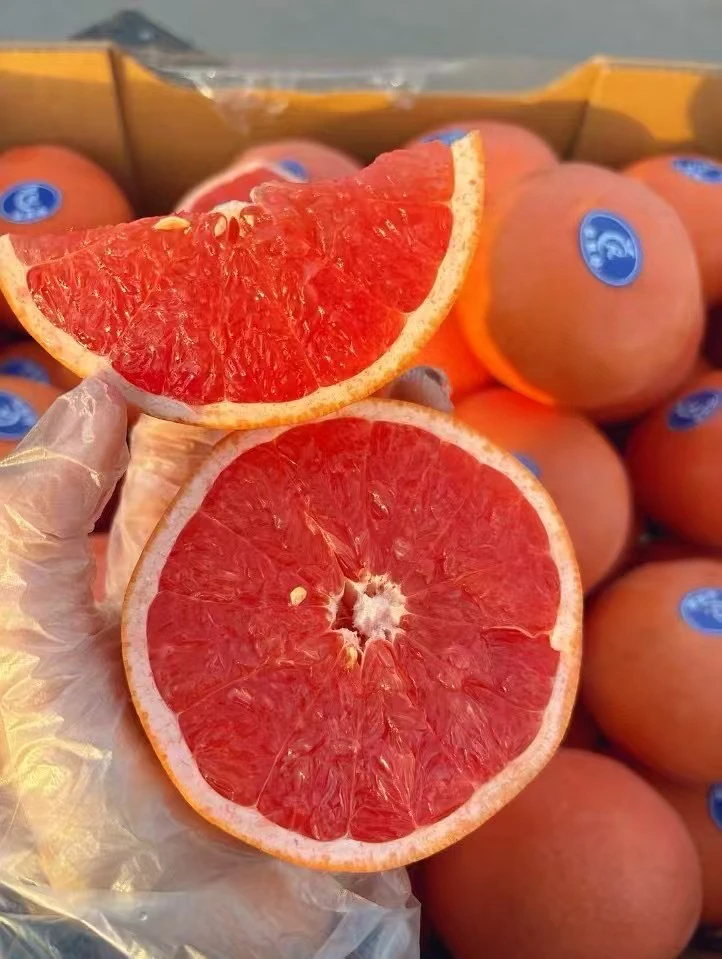 鲜西柚一箱6枚装