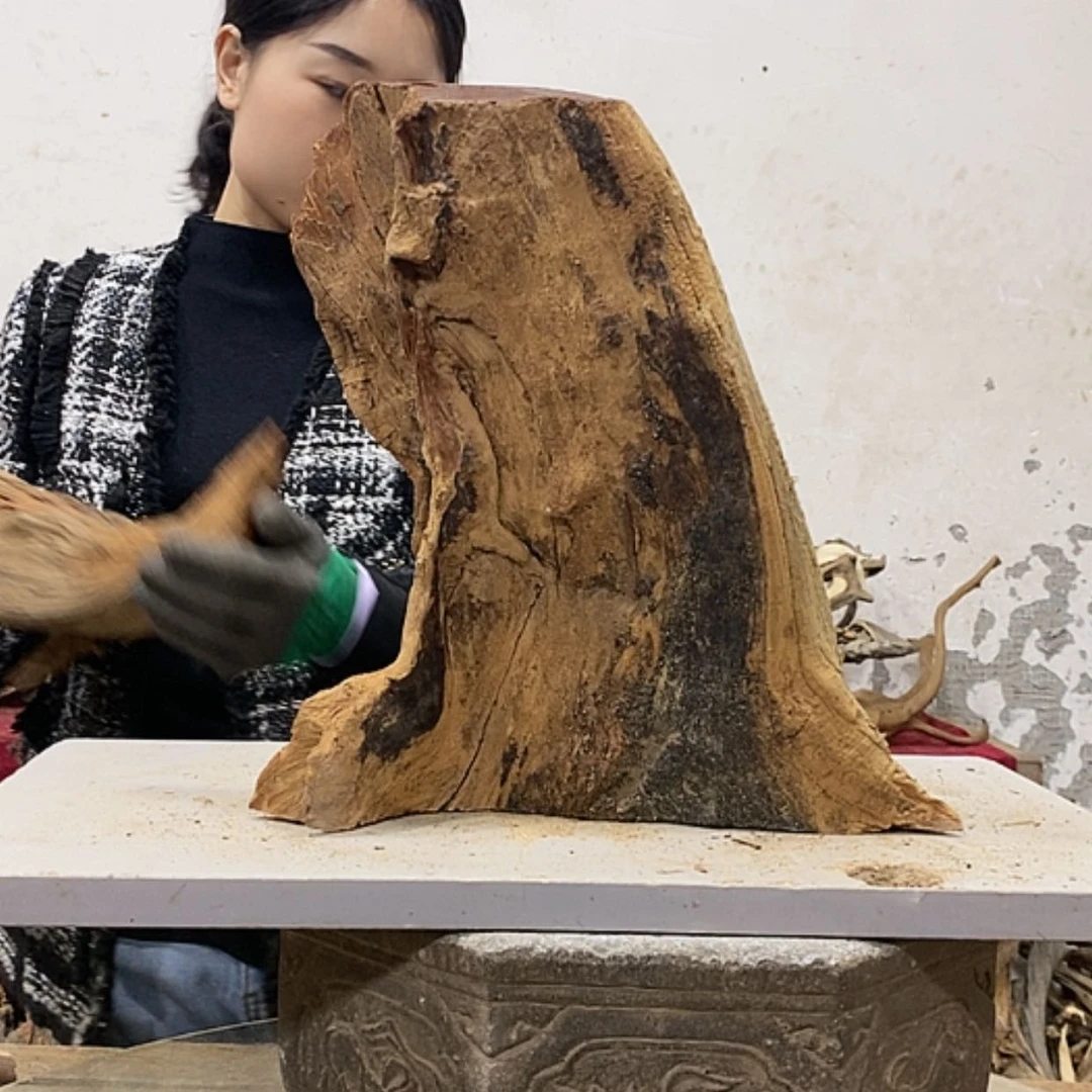 【闪购商品】柏木雷****室我们都是好孩子