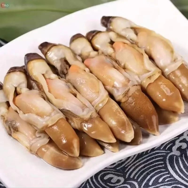 蛏王肉速冻锁鲜4包含保护冰500g/包固形物含量400g左右/包