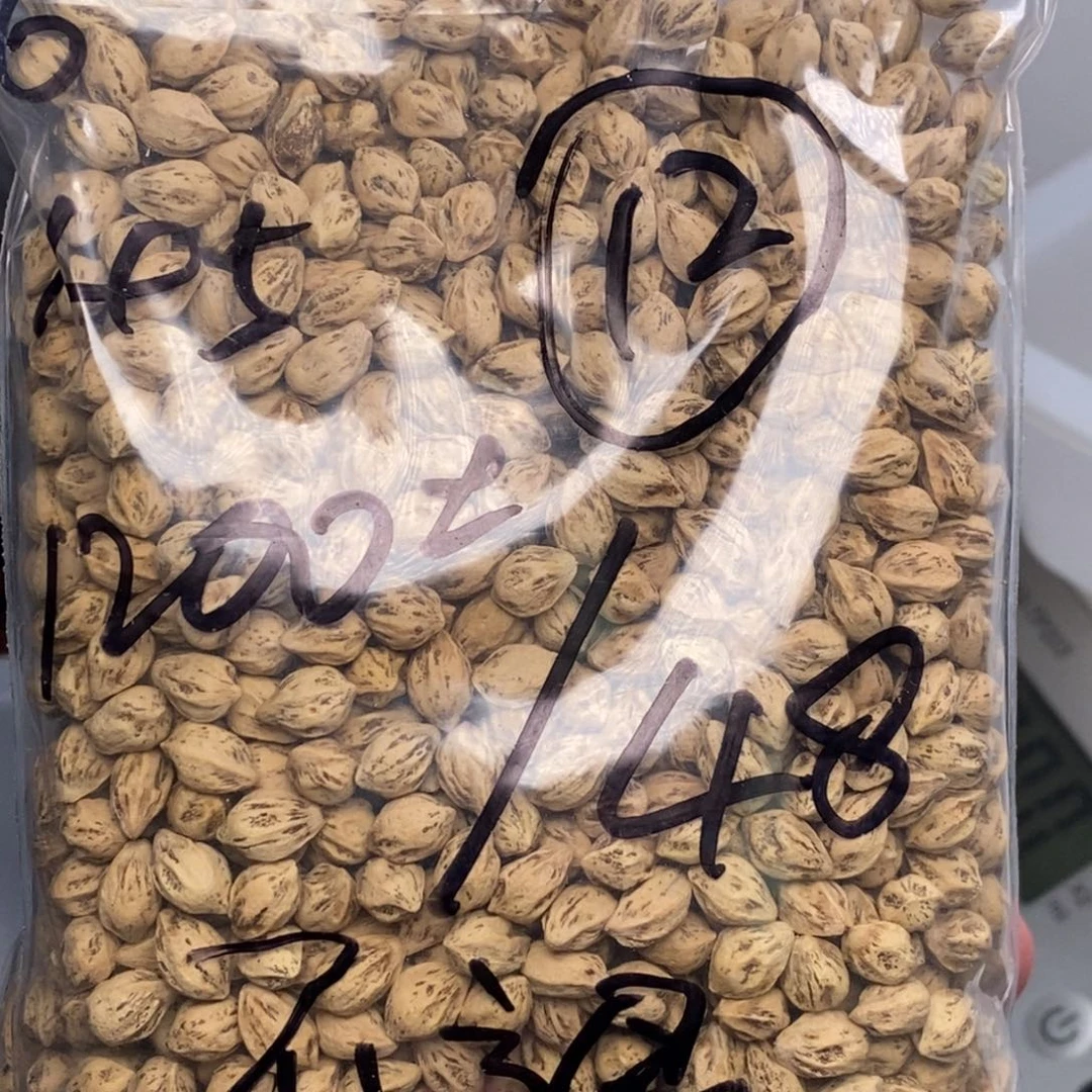 柏香籽/百香籽吊坠