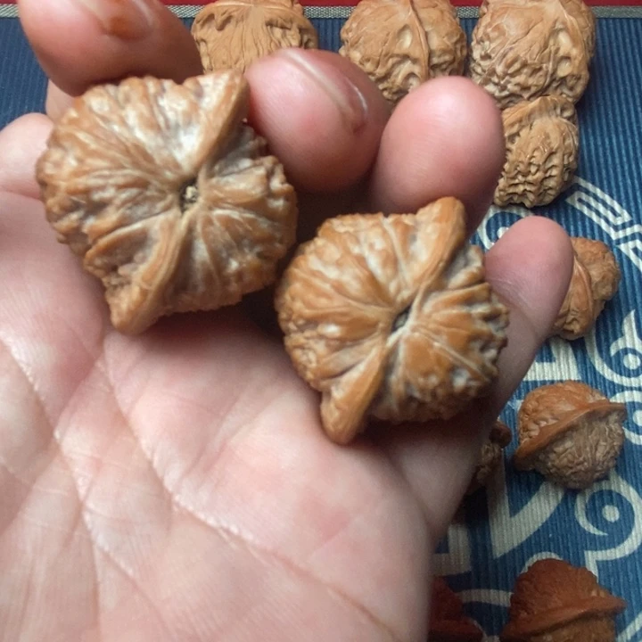 全品七步沟35尺寸