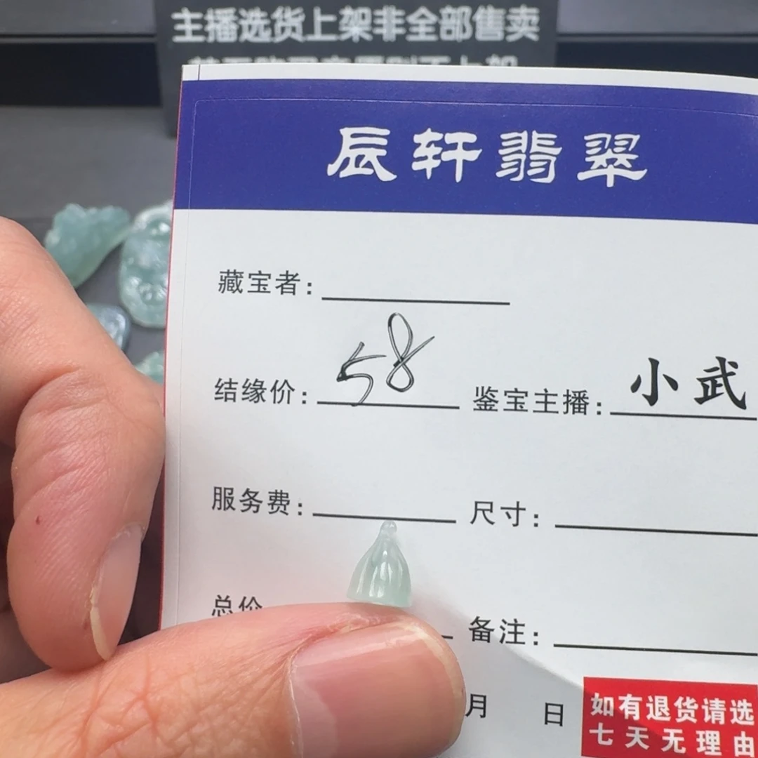 翡翠未镶嵌颈饰     69