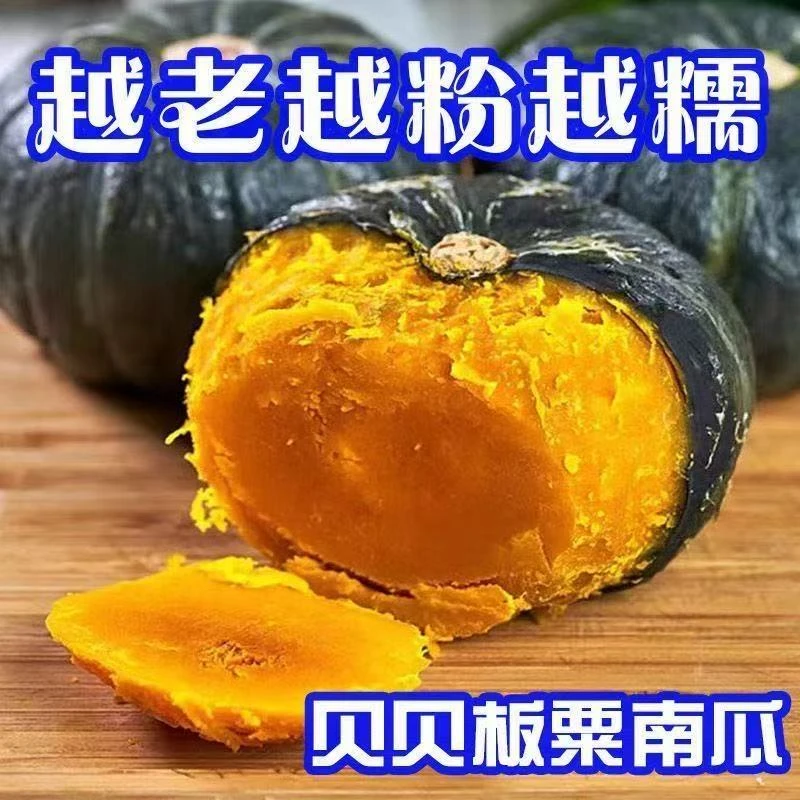 正宗真贝贝南瓜板栗味老南瓜婴儿辅食老南瓜粉糯香