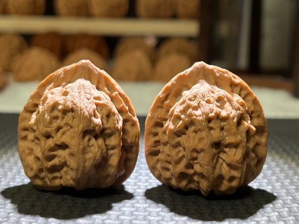 蓟县山一代佛肚文玩核桃