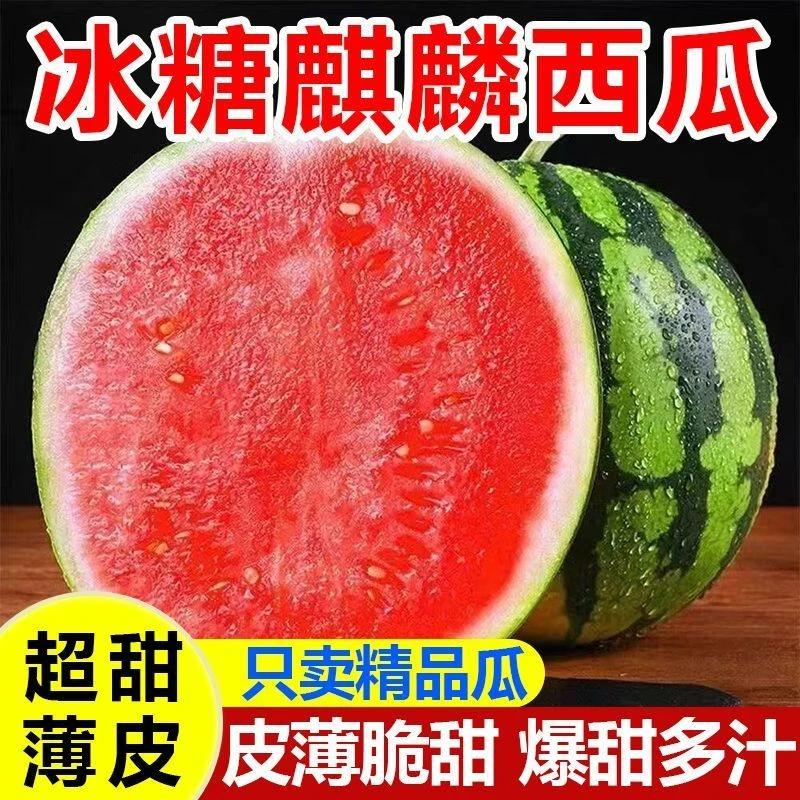 山东麒麟西瓜脆皮西瓜新鲜应季水果糖心甜王麒麟西瓜