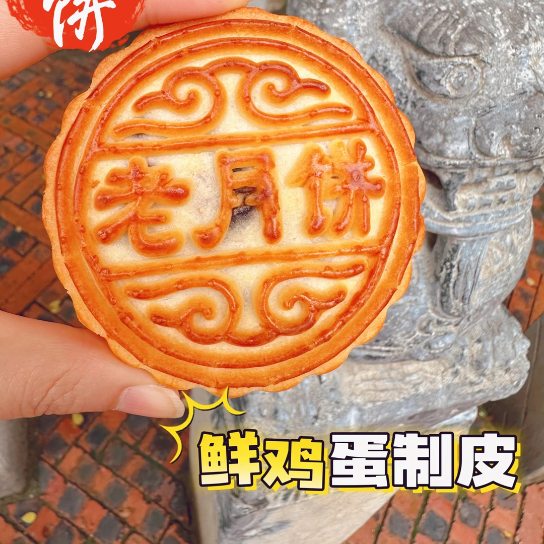 拍2发4嘉豫斋老月饼3个口味鸡蛋做皮一口酥软软葡萄黑芝麻山楂
