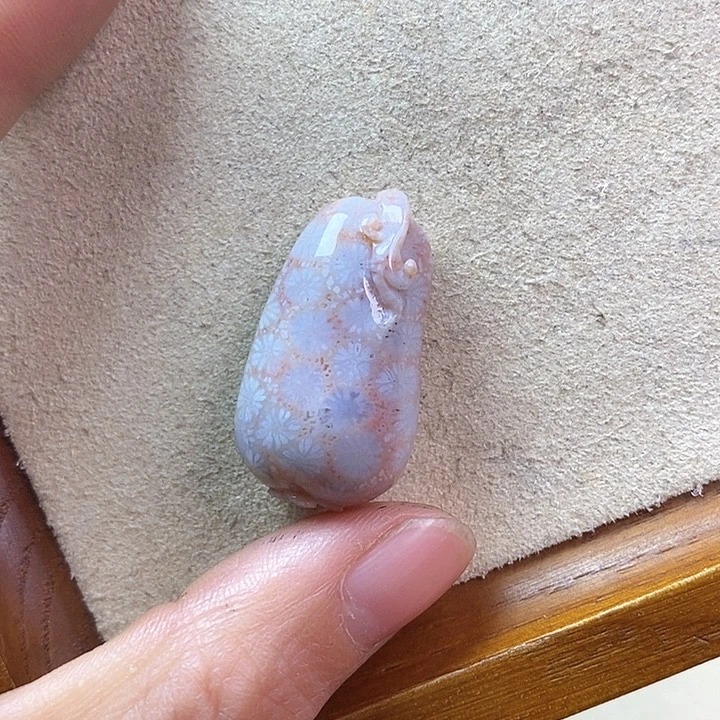 硅化玉颈饰未镶嵌