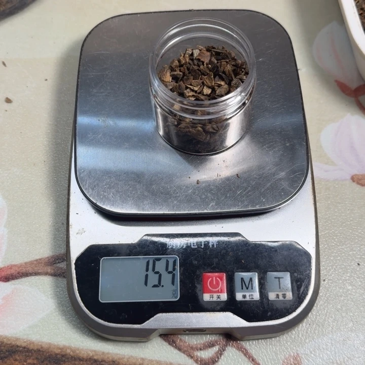 香榧木奇楠张勺子树