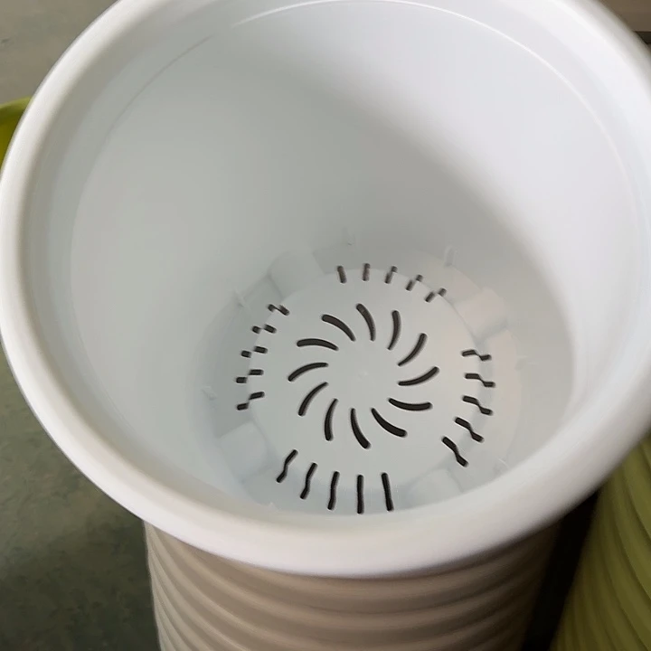 四季8号纯白无托5个特价微瑕