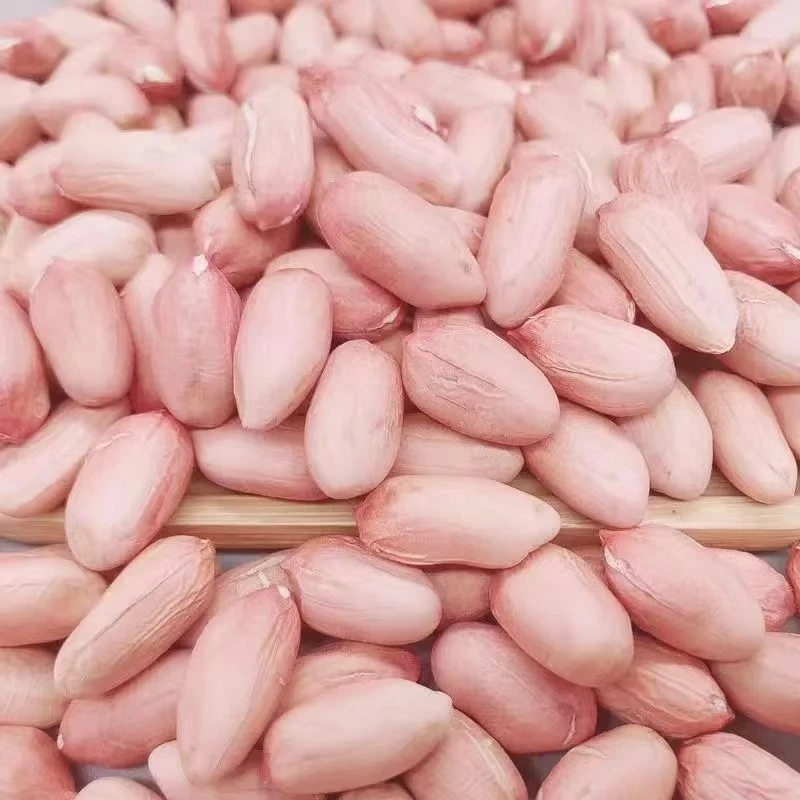 【直播】农家新花生米现剥精选无壳新货粉皮新鲜大粒榨油白沙花生米