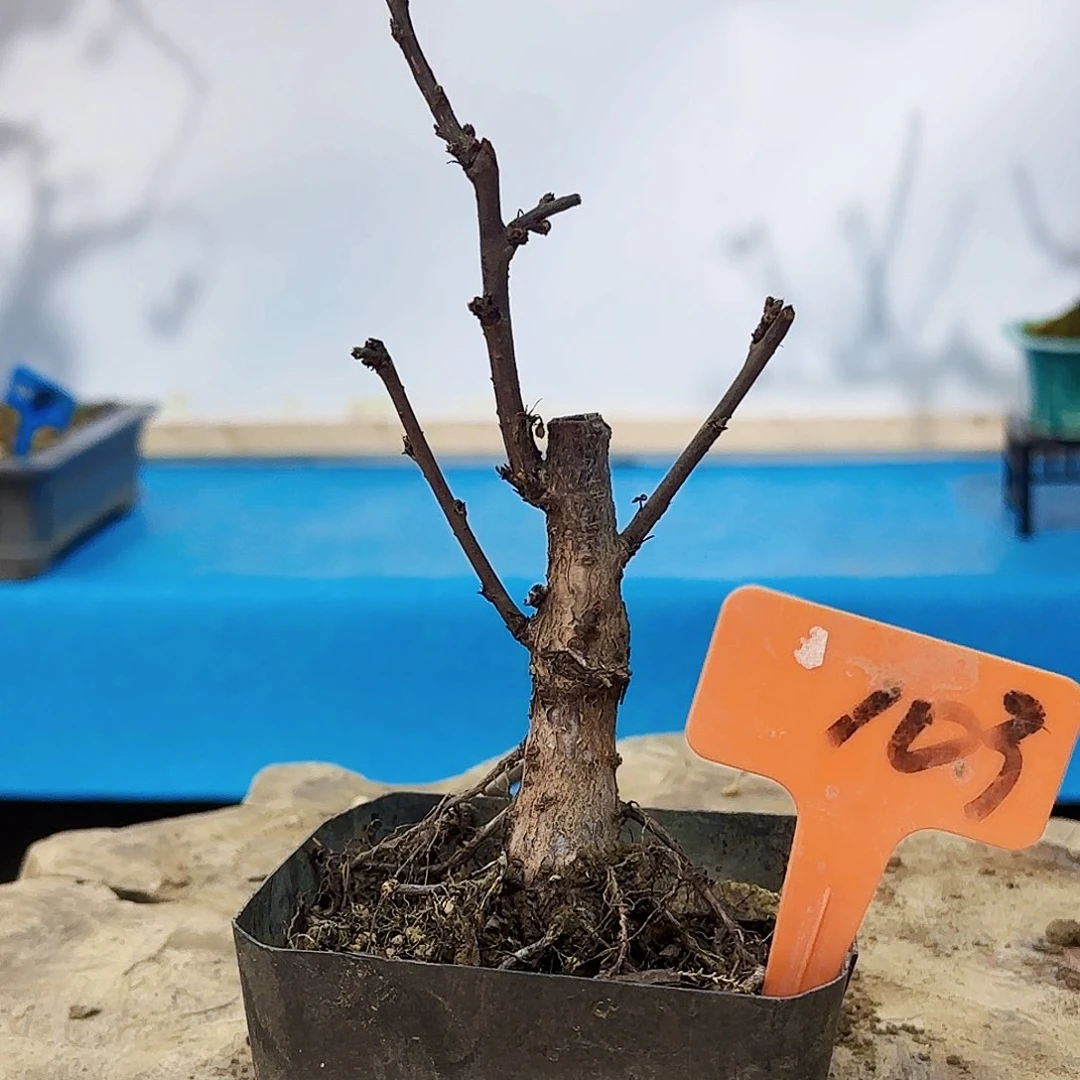 无铅玻璃宜****哥x ch j k l