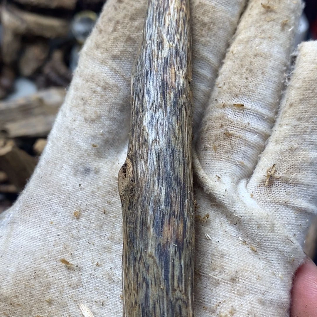 沉香碎屑沉香天然虫8克