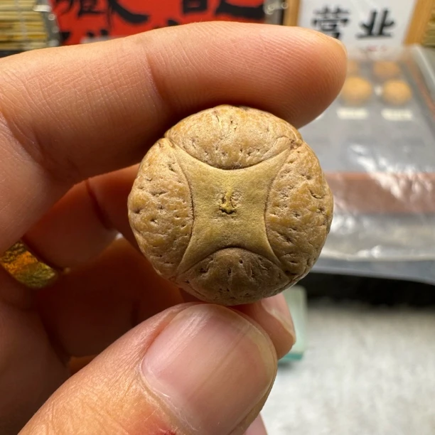 尼泊尔凤眼麒麟眼三通24mm+大尺寸 一物一图 打孔不退不换 毕业款