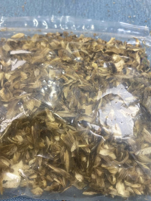 沉香碎屑树丁单圈多样性发一