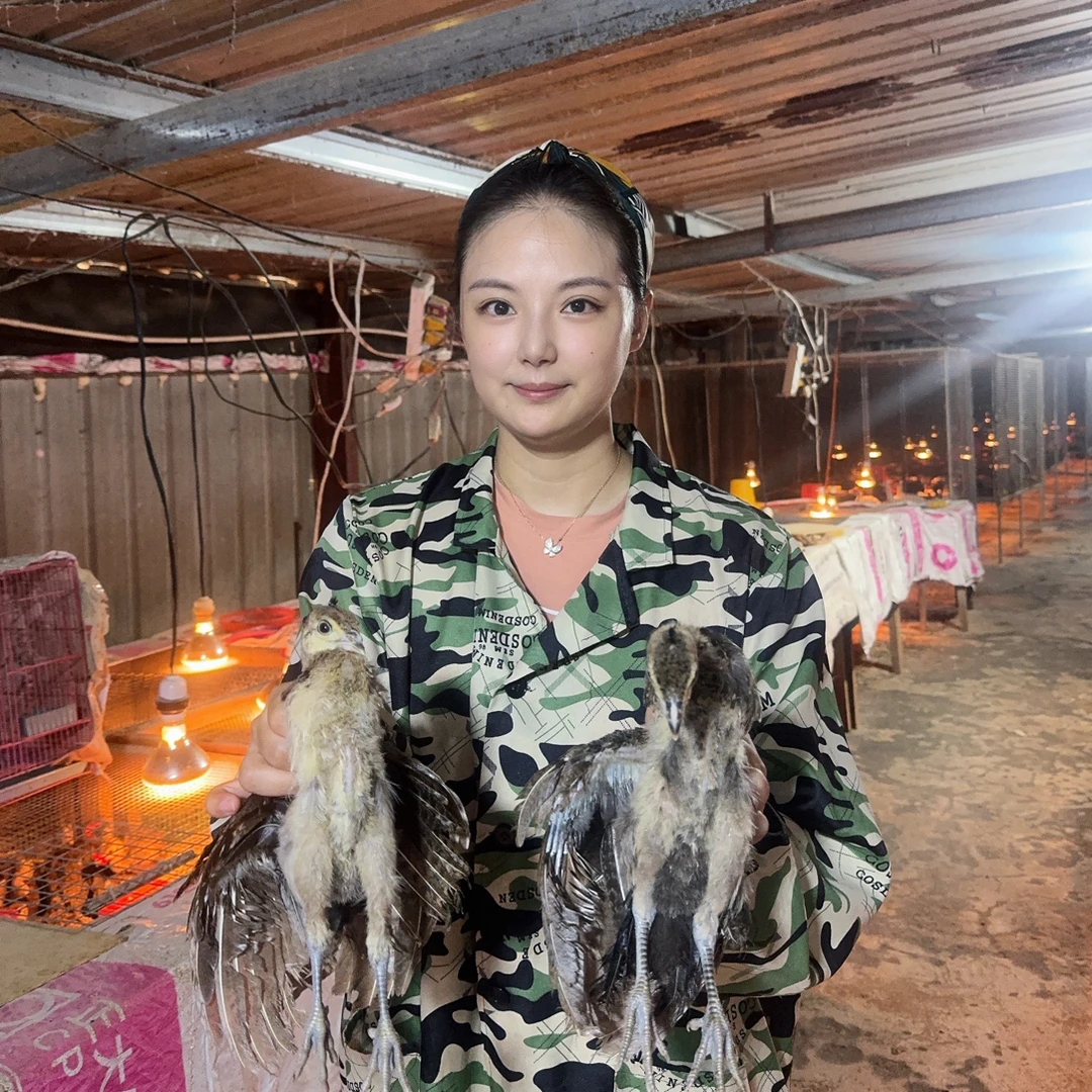 四个月宠物观赏脱温苗