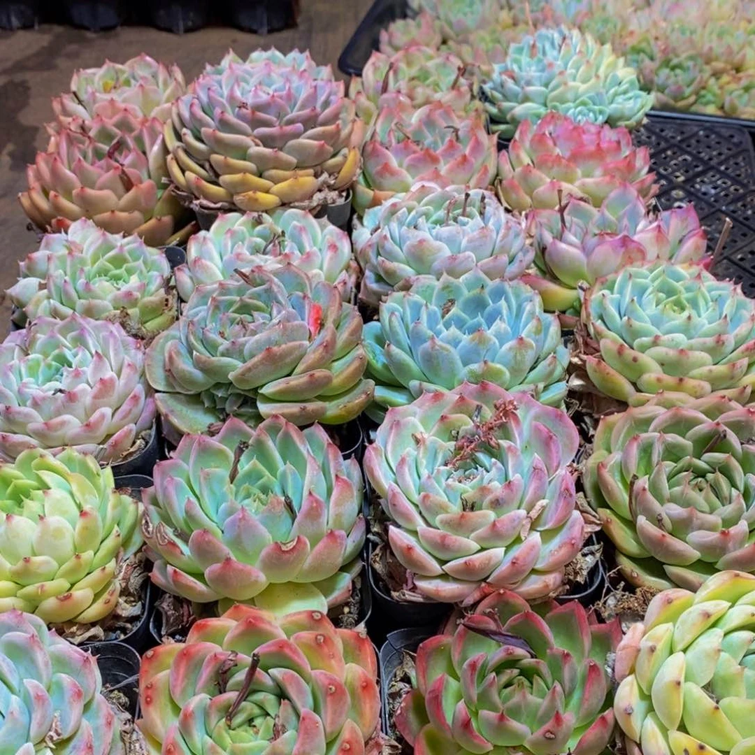 429的人在一起的时候就会觉得