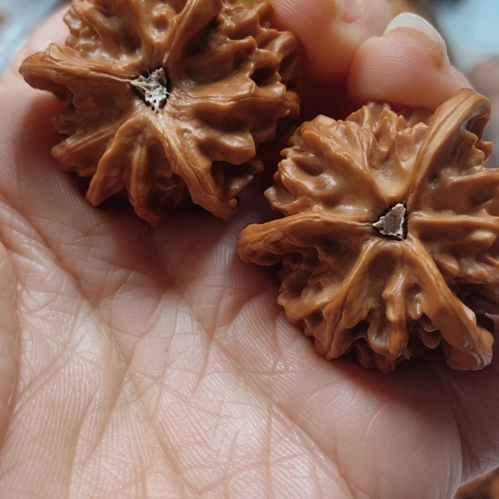 ＞***文玩核桃手串盘山